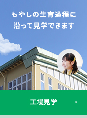 工場見学